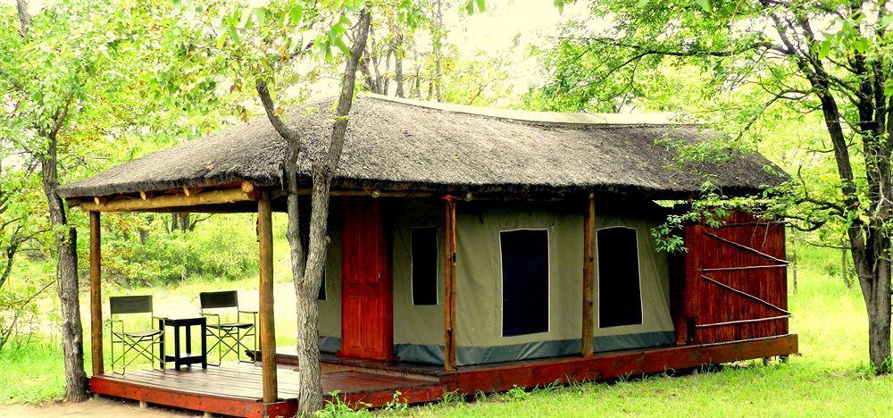 Shindzela Tented Camp Timbavati Game Reserve Bagian luar foto