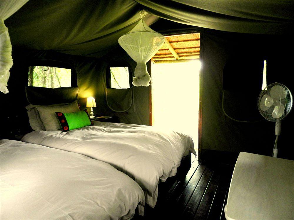 Shindzela Tented Camp Timbavati Game Reserve Bagian luar foto