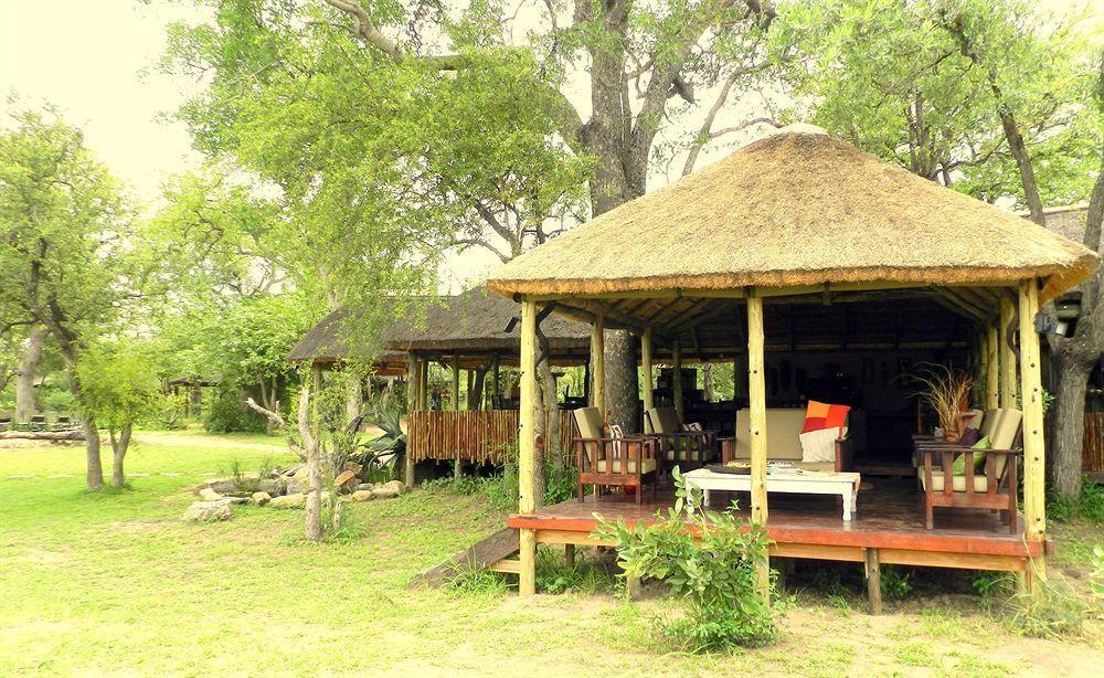 Shindzela Tented Camp Timbavati Game Reserve Bagian luar foto