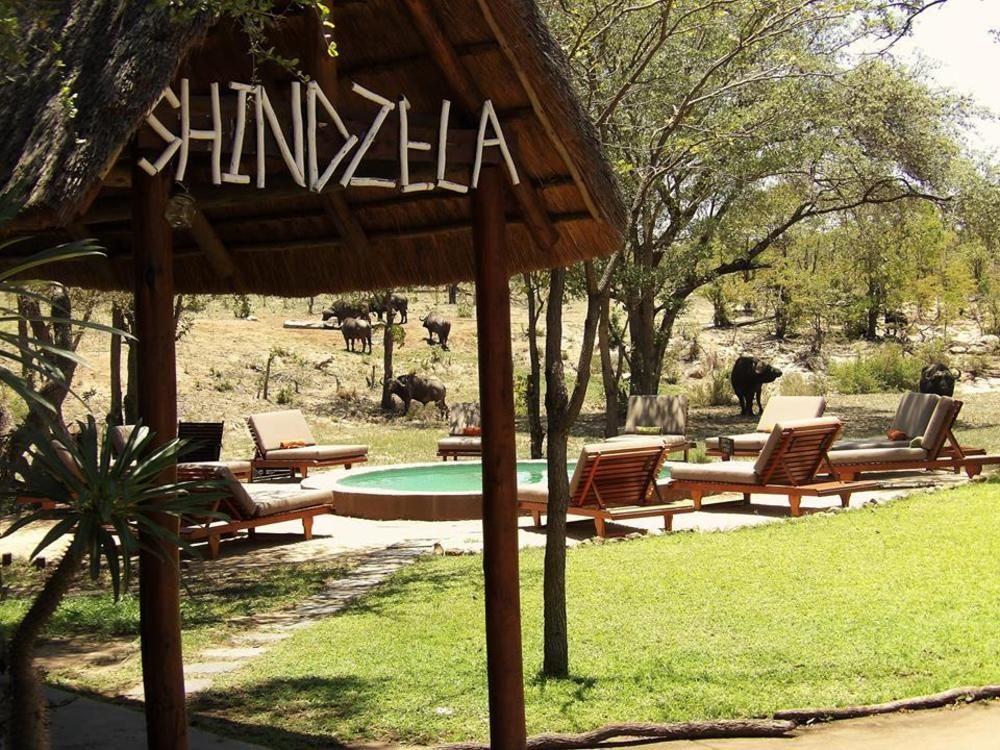 Shindzela Tented Camp Timbavati Game Reserve Bagian luar foto