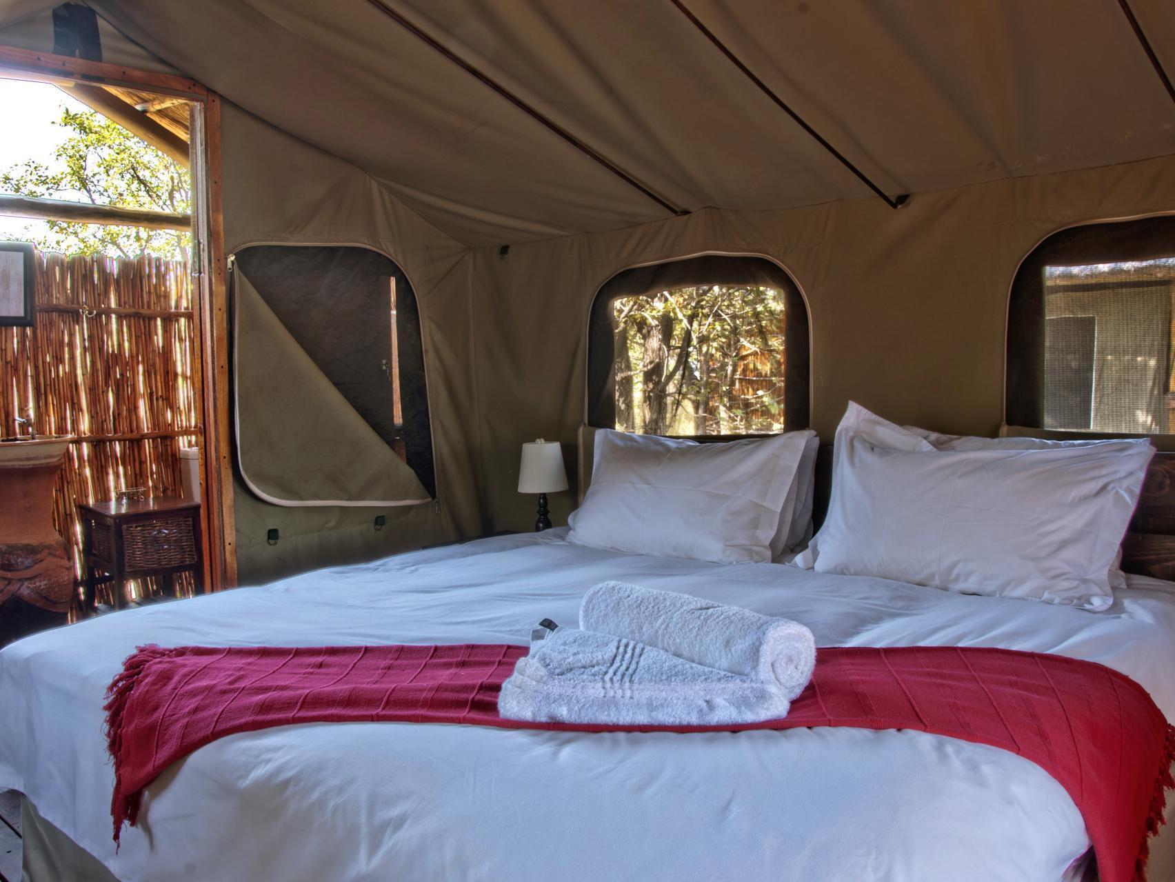 Shindzela Tented Camp Timbavati Game Reserve Bagian luar foto
