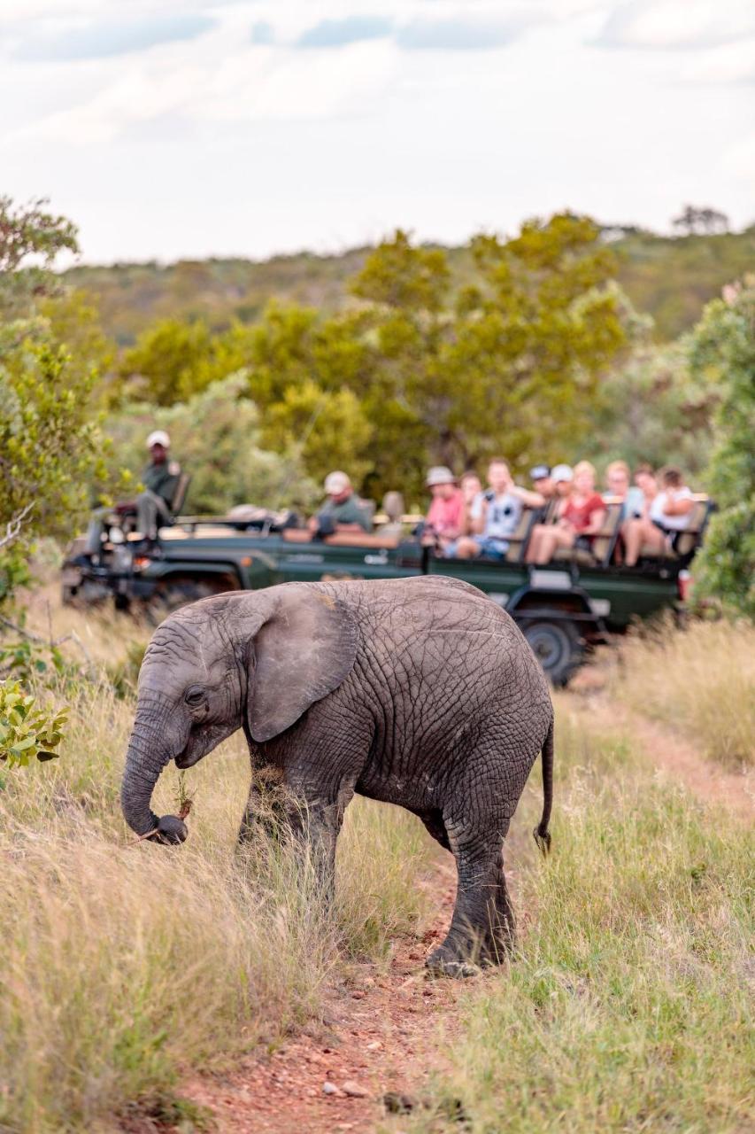 Shindzela Tented Camp Timbavati Game Reserve Bagian luar foto