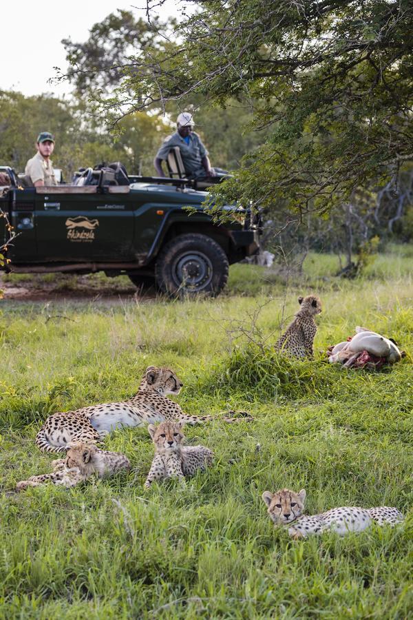 Shindzela Tented Camp Timbavati Game Reserve Bagian luar foto