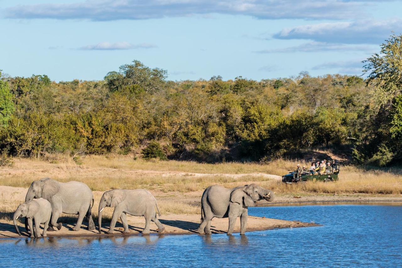 Shindzela Tented Camp Timbavati Game Reserve Bagian luar foto