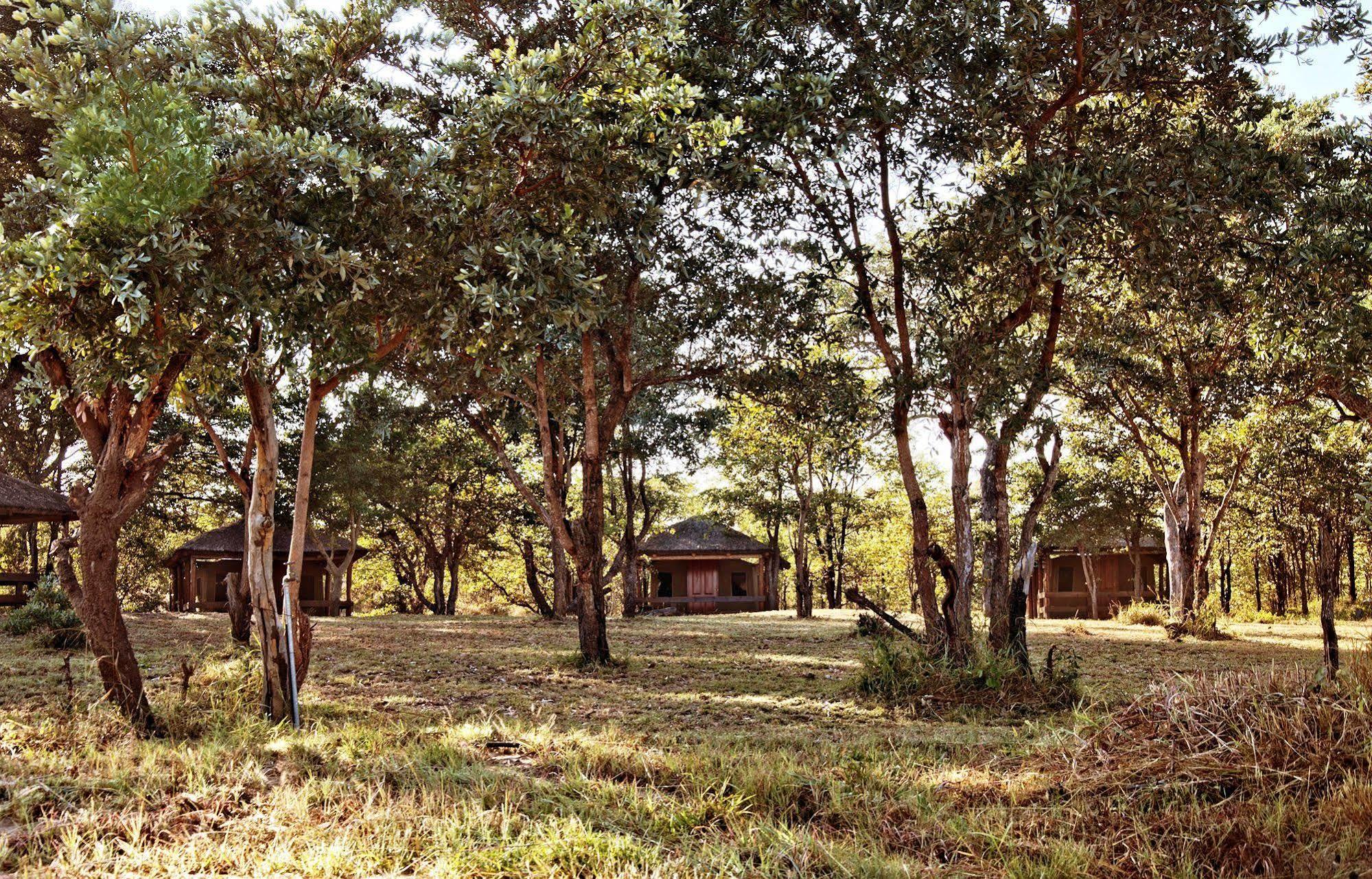 Shindzela Tented Camp Timbavati Game Reserve Bagian luar foto