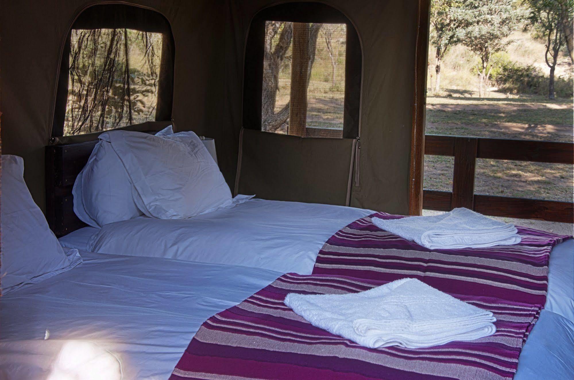 Shindzela Tented Camp Timbavati Game Reserve Bagian luar foto
