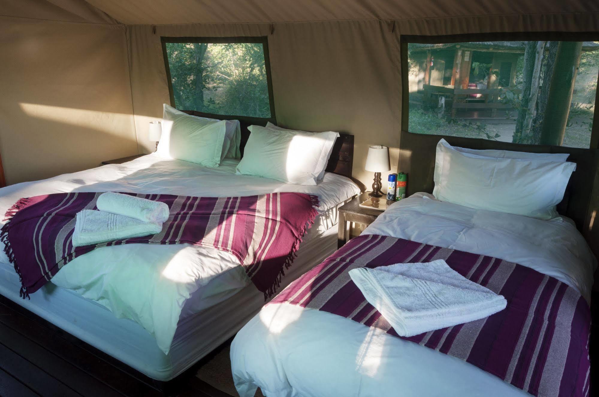 Shindzela Tented Camp Timbavati Game Reserve Bagian luar foto