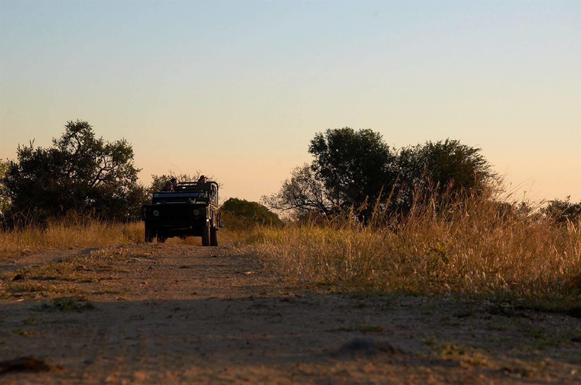 Shindzela Tented Camp Timbavati Game Reserve Bagian luar foto