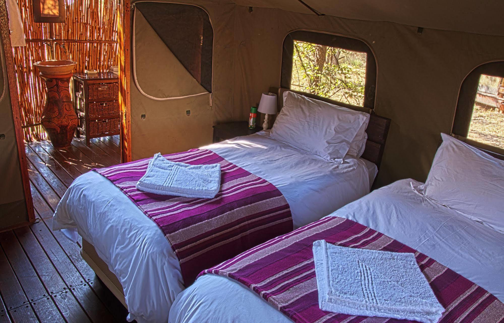 Shindzela Tented Camp Timbavati Game Reserve Bagian luar foto
