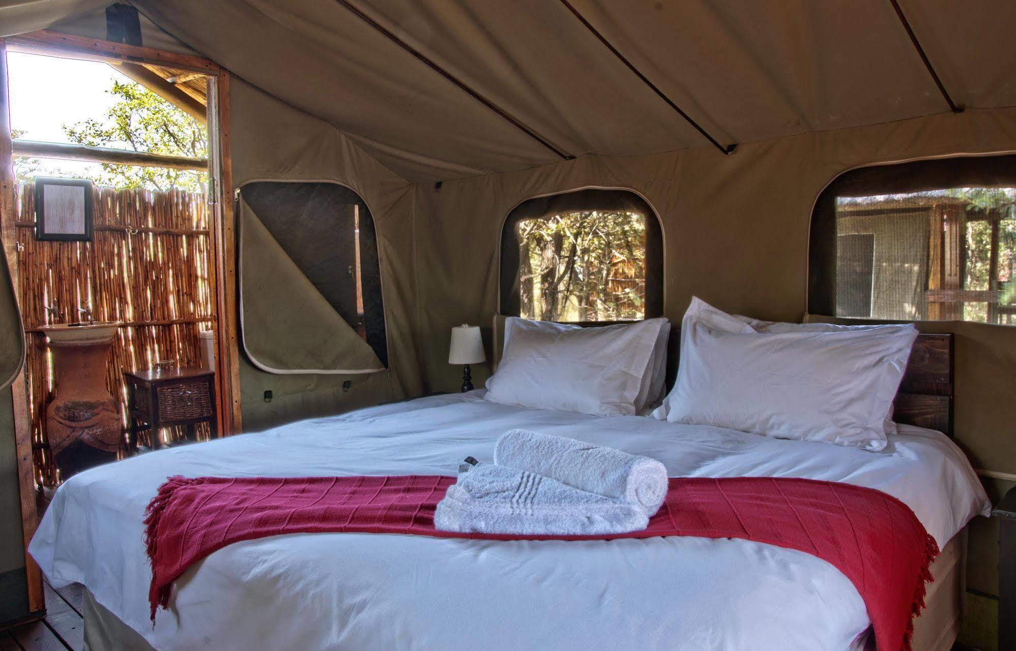 Shindzela Tented Camp Timbavati Game Reserve Bagian luar foto