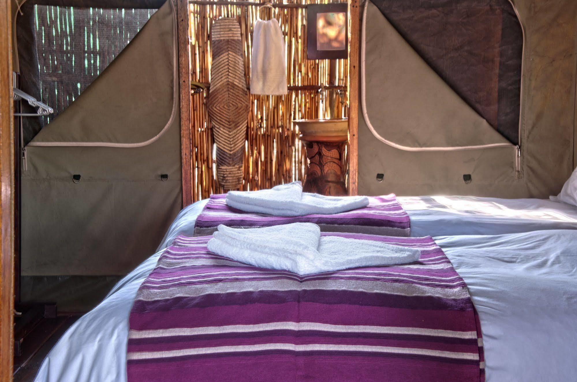 Shindzela Tented Camp Timbavati Game Reserve Bagian luar foto