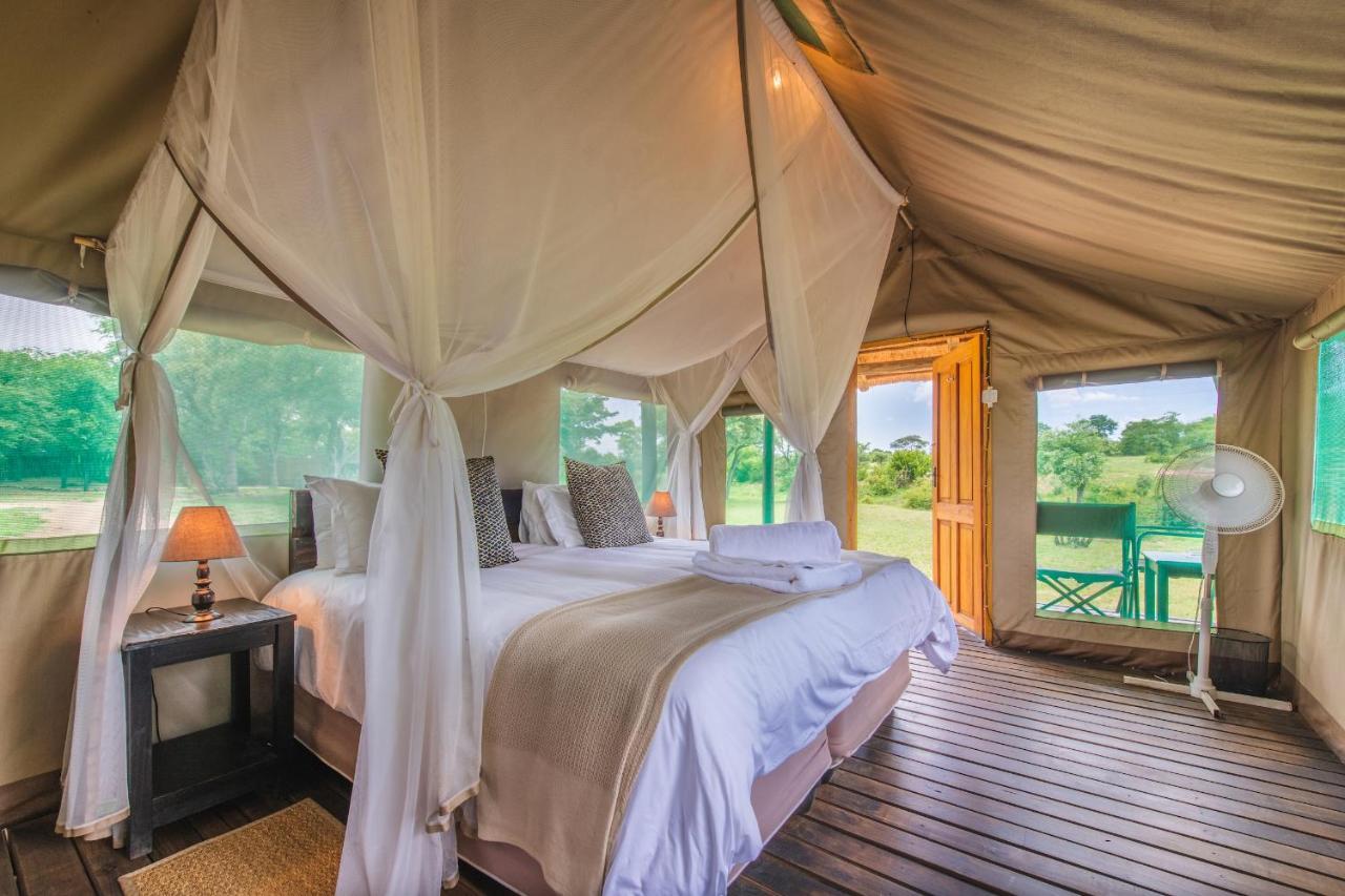 Shindzela Tented Camp Timbavati Game Reserve Bagian luar foto