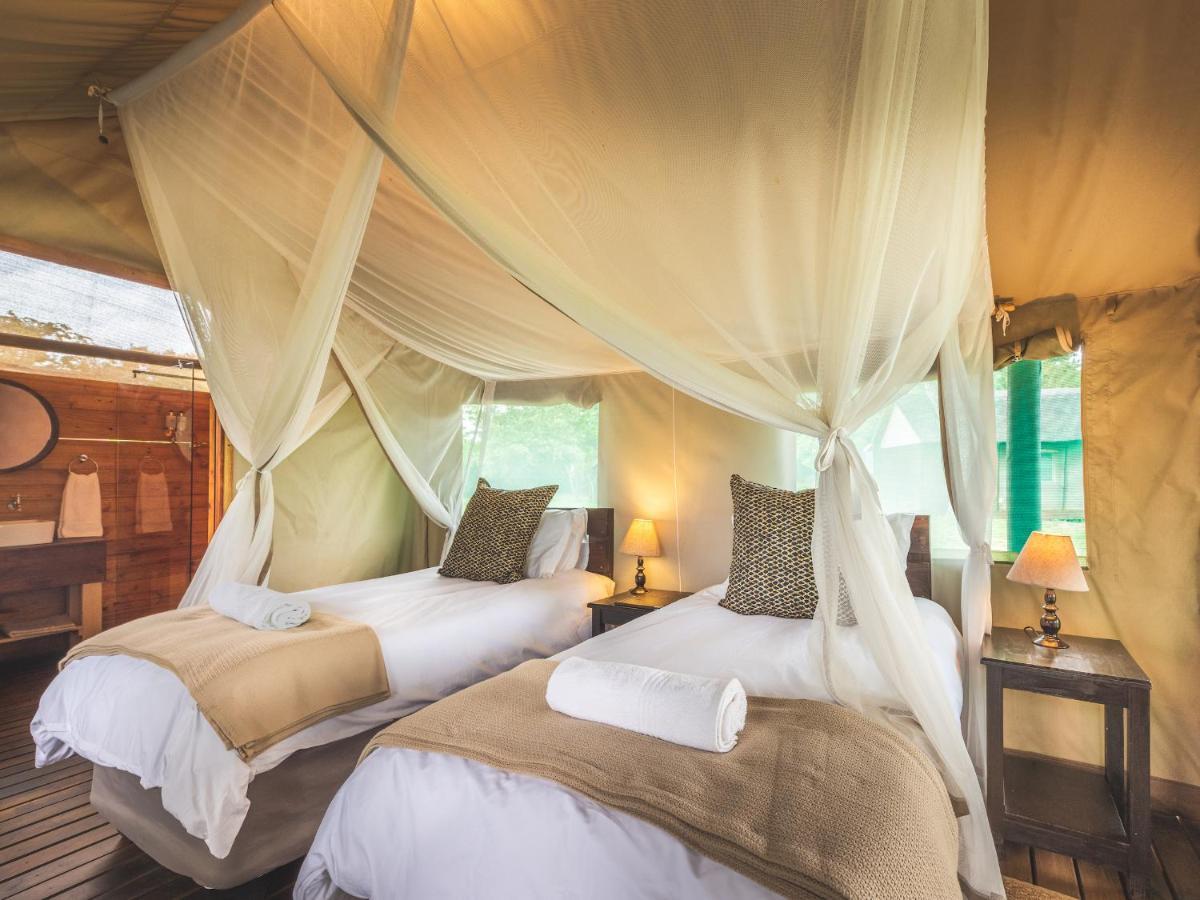 Shindzela Tented Camp Timbavati Game Reserve Bagian luar foto