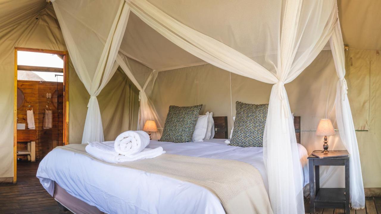 Shindzela Tented Camp Timbavati Game Reserve Bagian luar foto