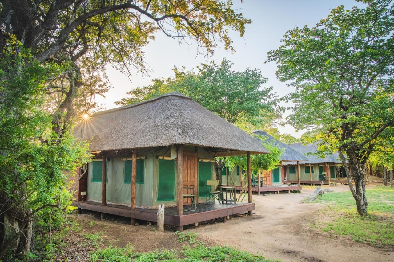 Shindzela Tented Camp Timbavati Game Reserve Bagian luar foto