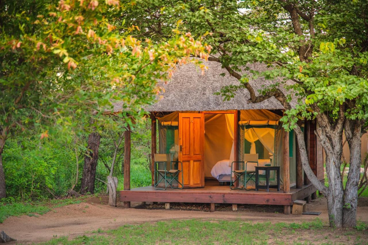 Shindzela Tented Camp Timbavati Game Reserve Bagian luar foto