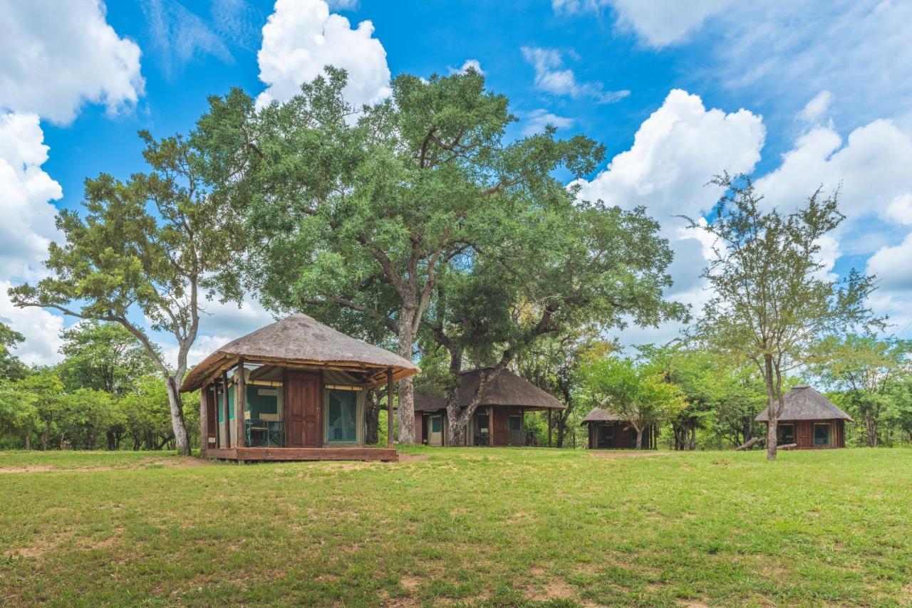 Shindzela Tented Camp Timbavati Game Reserve Bagian luar foto