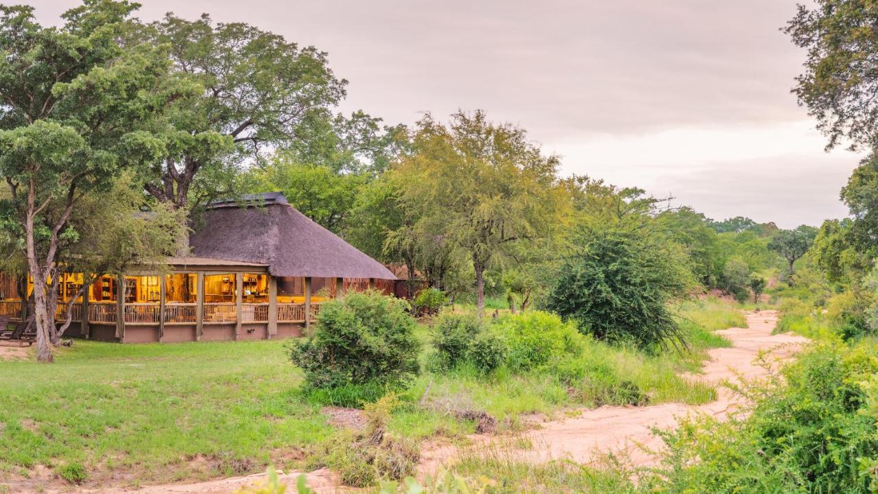 Shindzela Tented Camp Timbavati Game Reserve Bagian luar foto