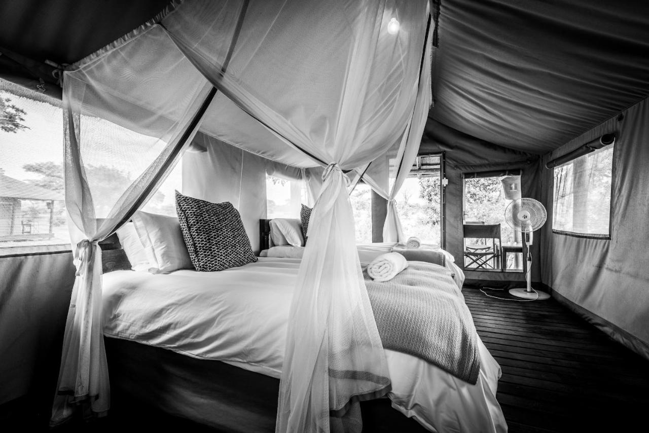 Shindzela Tented Camp Timbavati Game Reserve Bagian luar foto