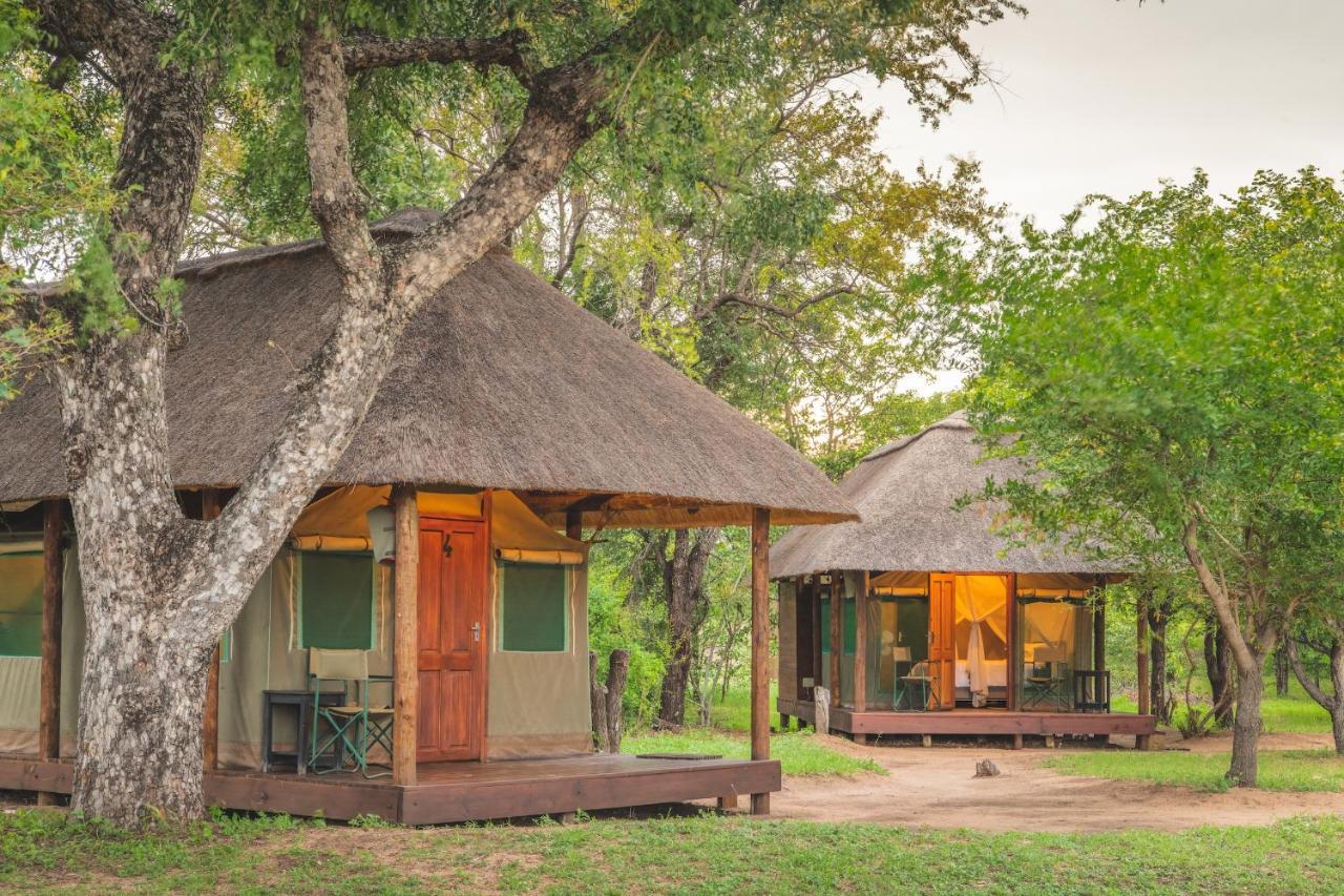 Shindzela Tented Camp Timbavati Game Reserve Bagian luar foto