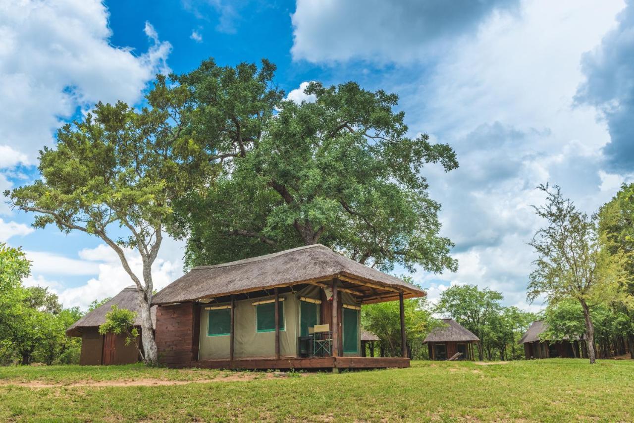 Shindzela Tented Camp Timbavati Game Reserve Bagian luar foto