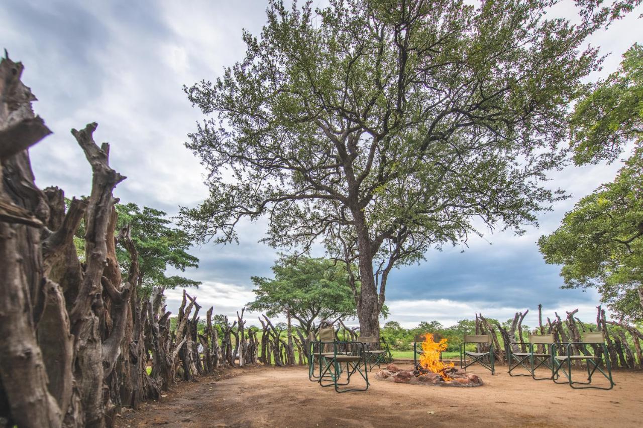 Shindzela Tented Camp Timbavati Game Reserve Bagian luar foto